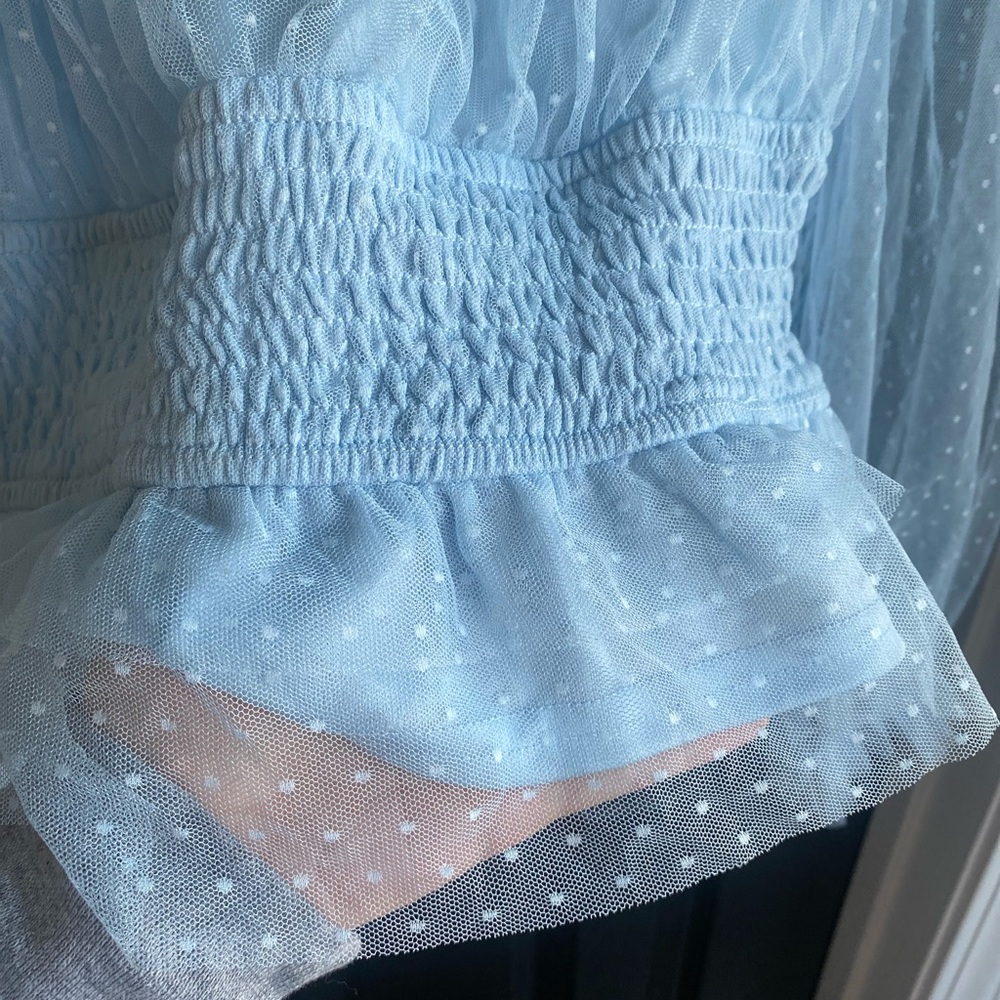 Audrey Parks Francesca’s Soft Blue Tulle Blouse Sheer Long-Sleeve Crop-Size L - Picture 3 of 8